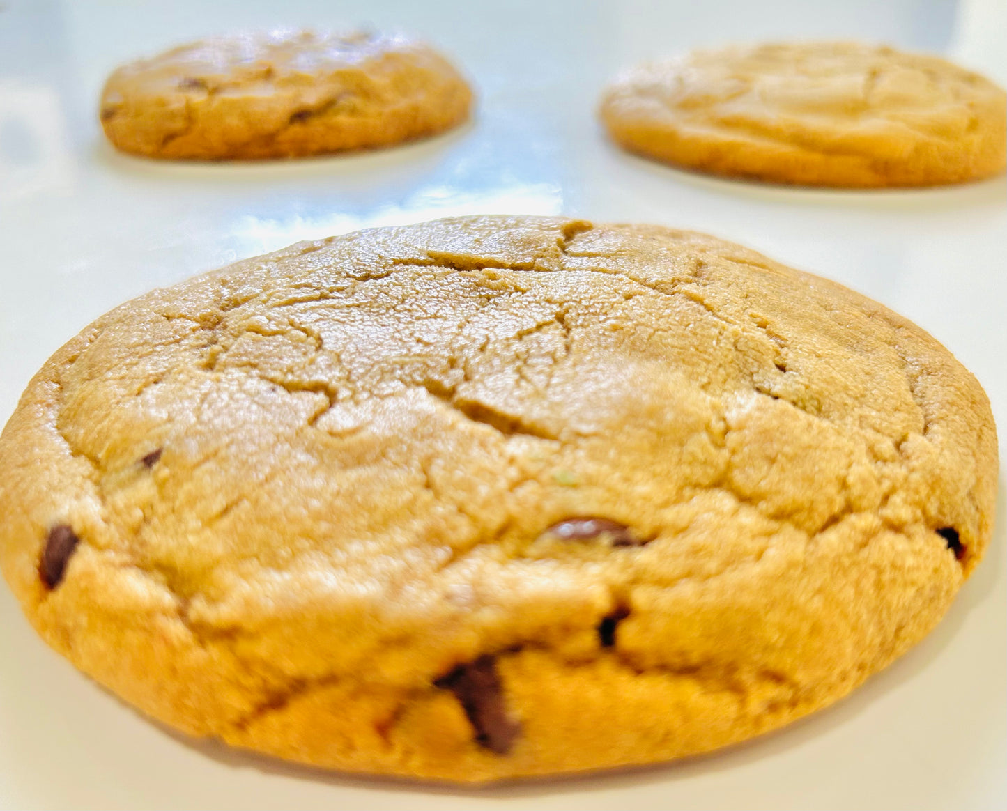 Galleta de Chocolate Chip